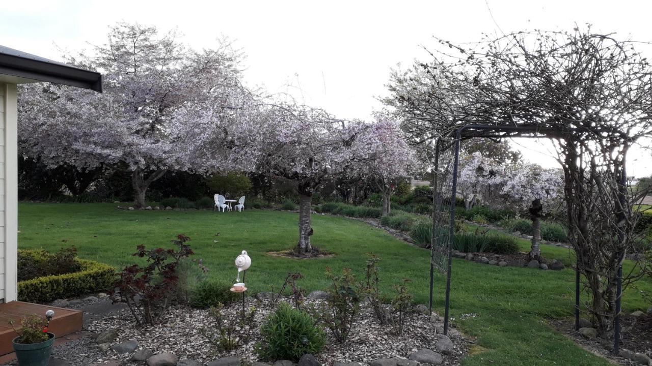 Kaimai Sunset Bed & Breakfast Матамата Экстерьер фото